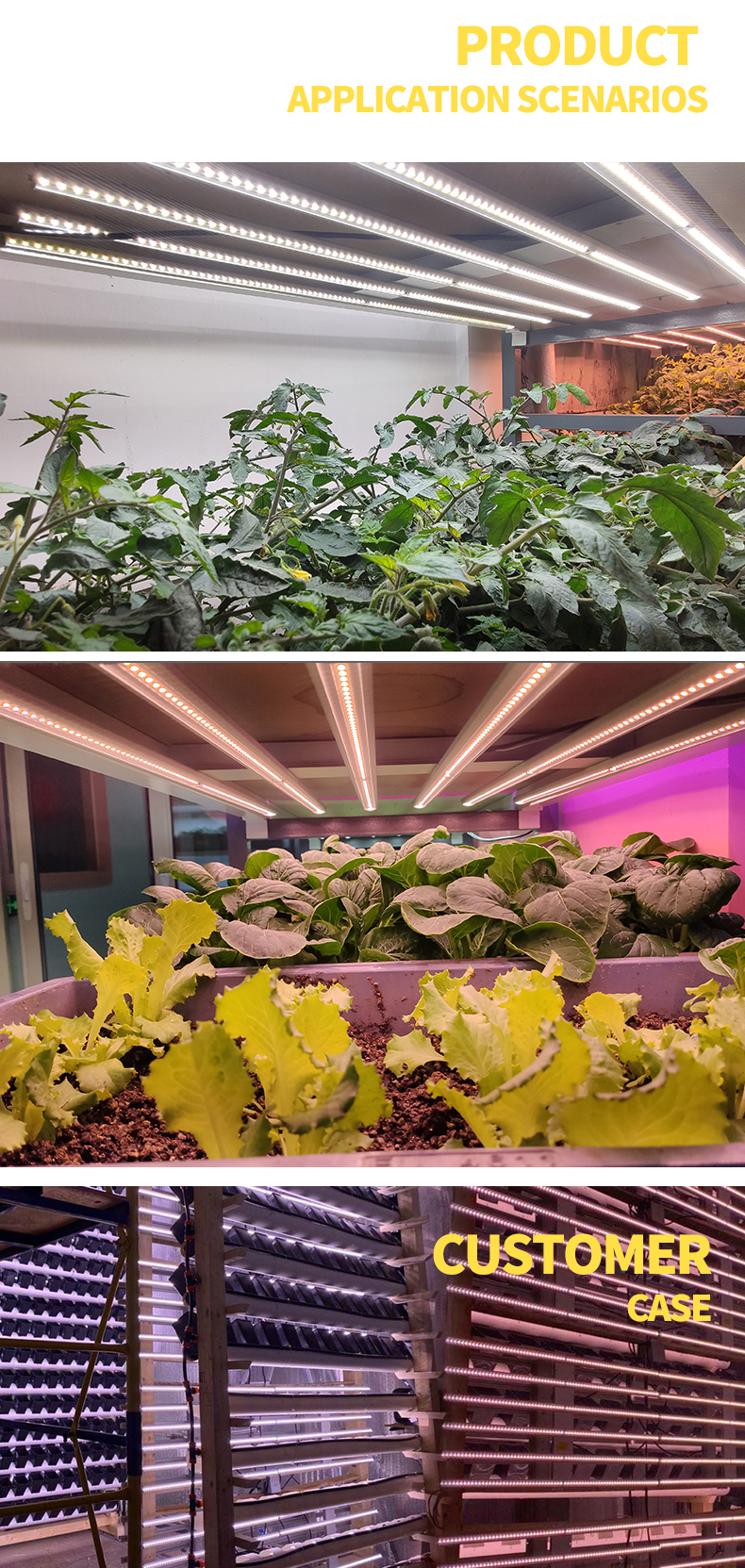 Vertical farm grow lights