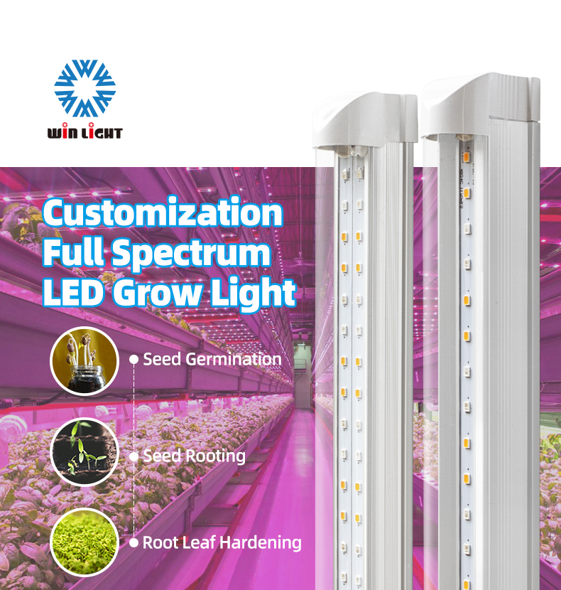 LED Grow Lights For Cannabis