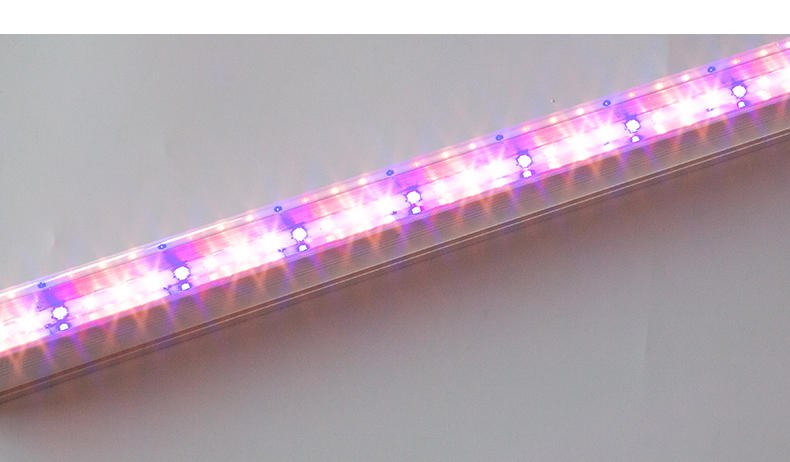 grow light strip