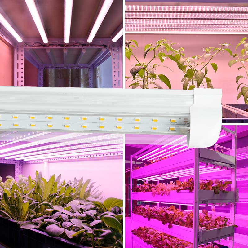 Guide to the use of LED grow lights