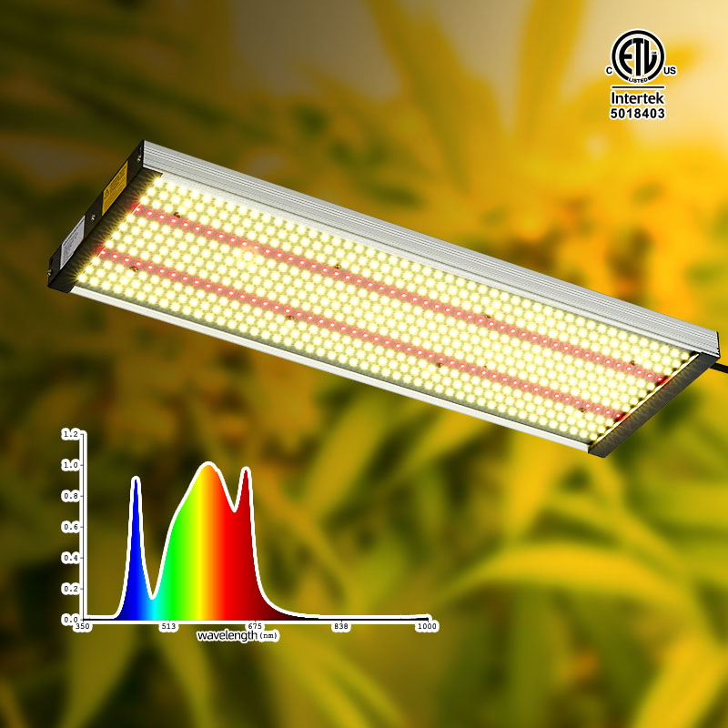 Guide to the use of LED grow lights