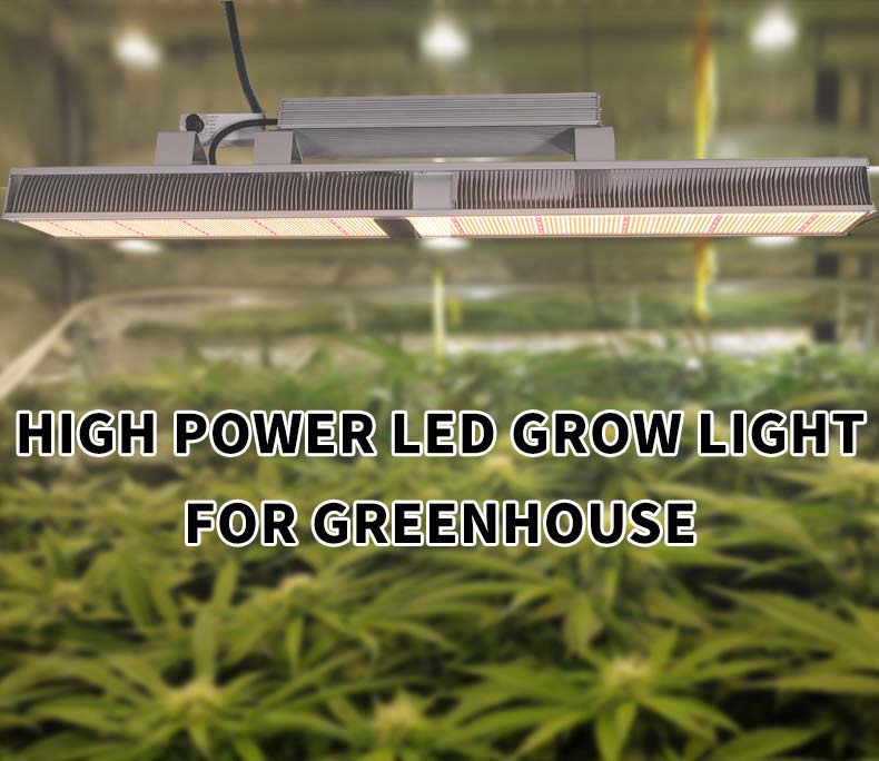 640W greenhouse grow lights