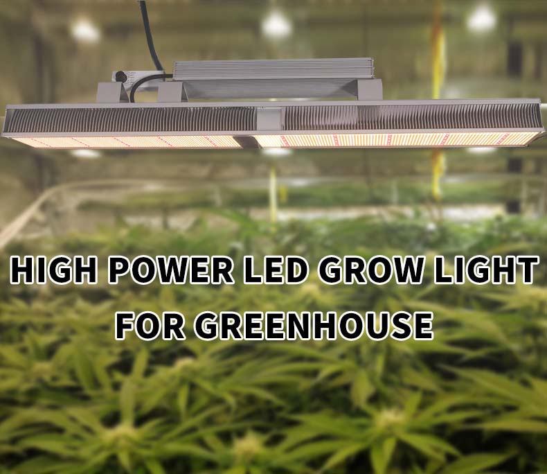 full spectrum led grow light for greenhouse