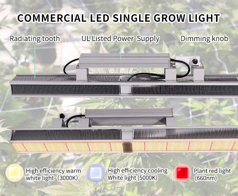 640W greenhouse grow lights