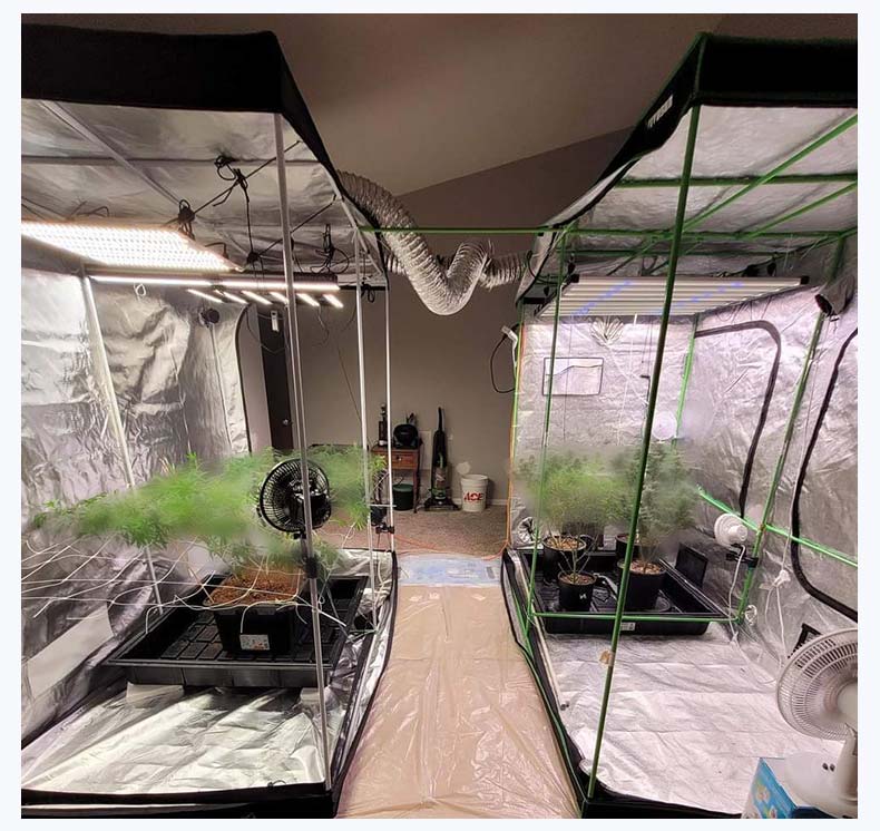 The principle, characteristics and application prospects of grow lights（二）