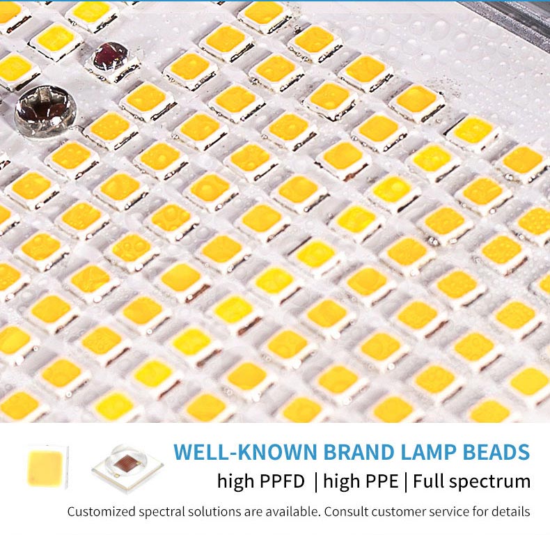 240W full spectrum led grow light