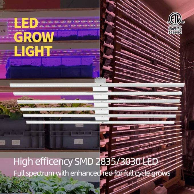 indoor grow lamps