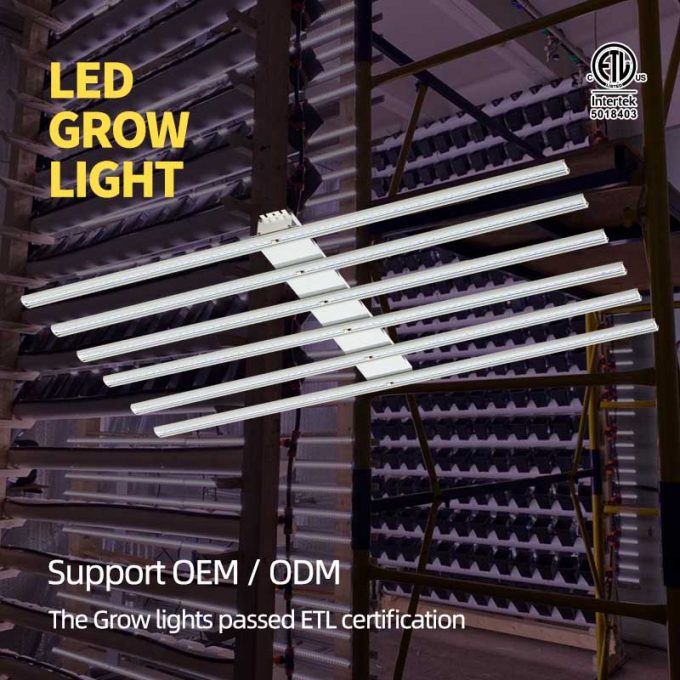 indoor grow lamps