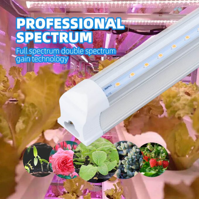 2ft 4ft T8 grow light
