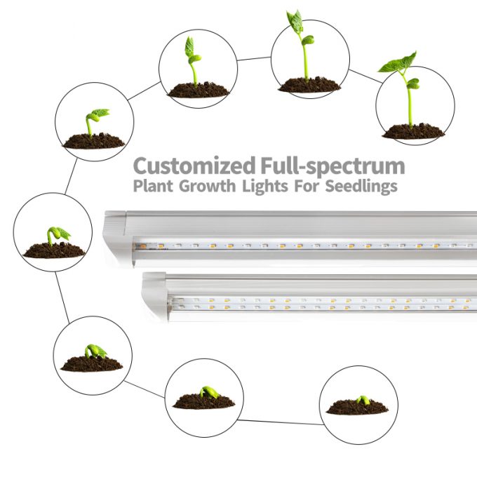 2ft 4ft T8 grow light