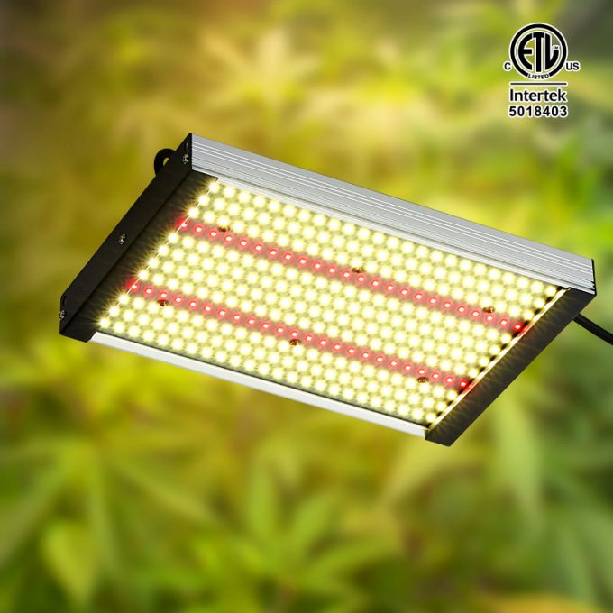 the newest quantum board led grow light