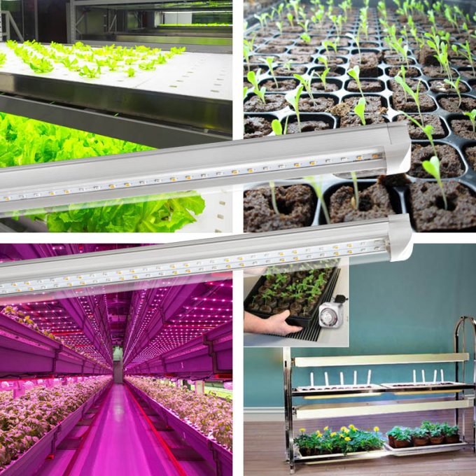 grow light strip