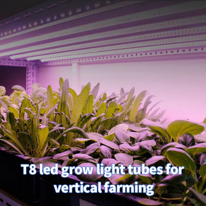 2ft 4ft T8 grow light