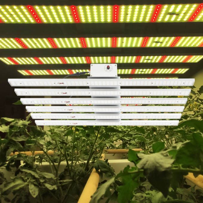 600w led grow light bar