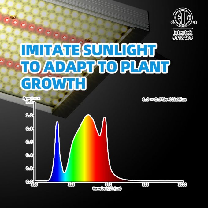the newest quantum board led grow light