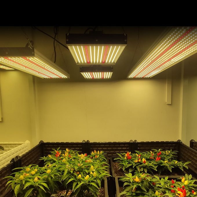 100watt grow led light