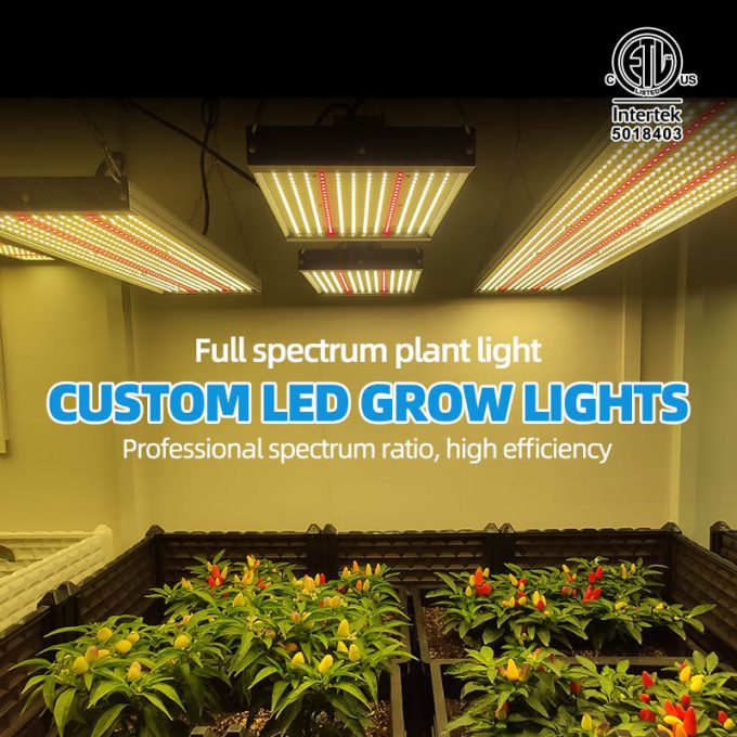 the newest quantum board led grow light