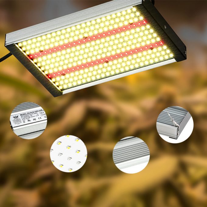 100watt grow led light