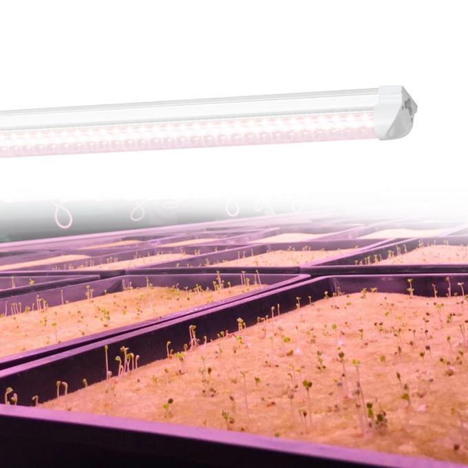t8 grow lights 4ft