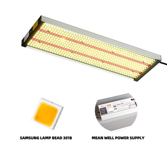 QB board 240W grow light