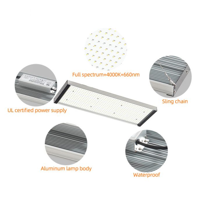 QB board 240W grow light