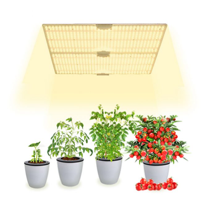 Quantum grow light led board