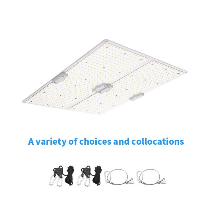 grow light for indoor plant