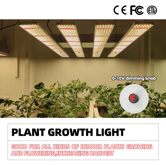400w grow light