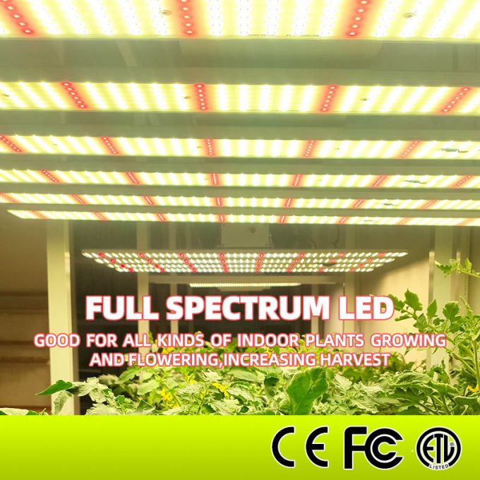 400w grow light