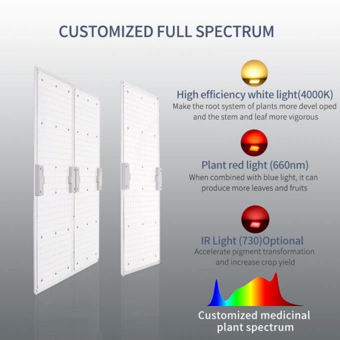 100w led grow light