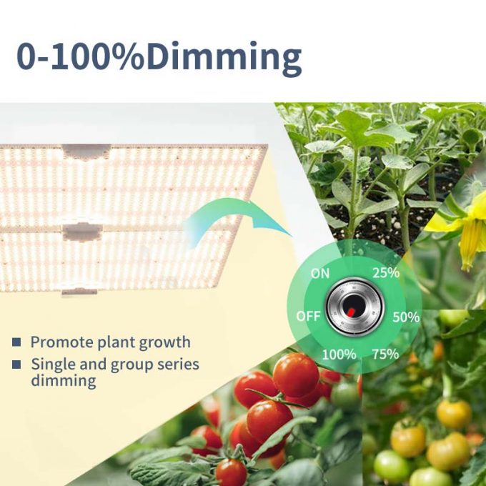 100w led grow light