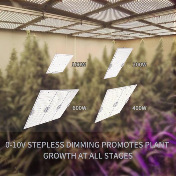 100w led grow light