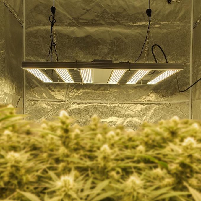 Hydroponics led grow light bar