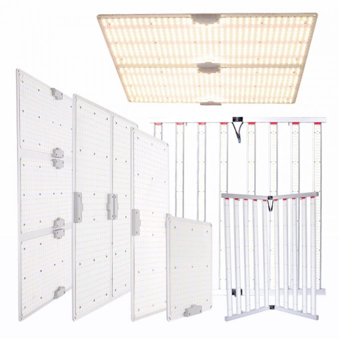 quantum grow light board