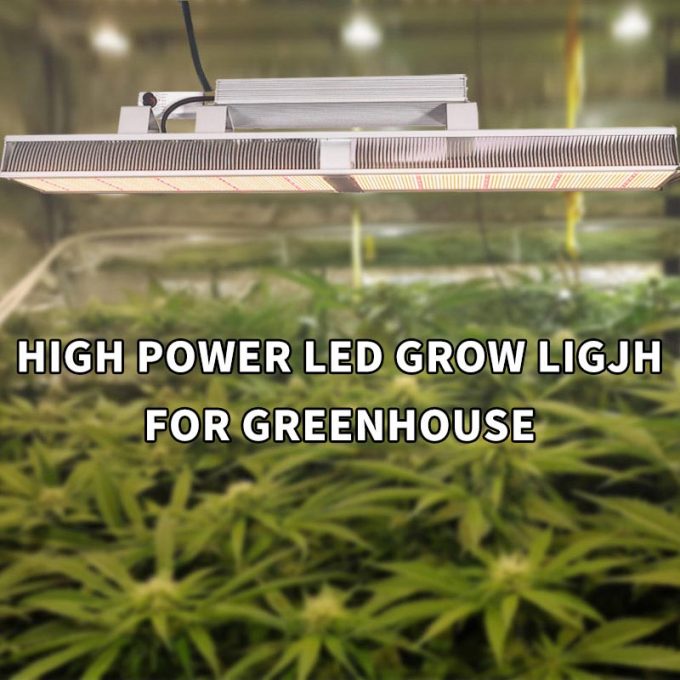 red 660nm full spectrum led grow light for Indoor garden