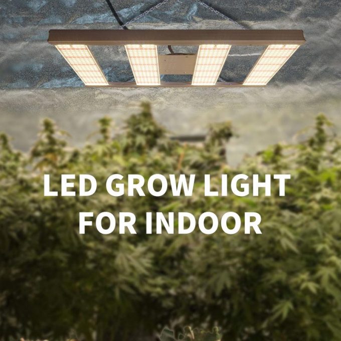 240W full spectrum led grow light