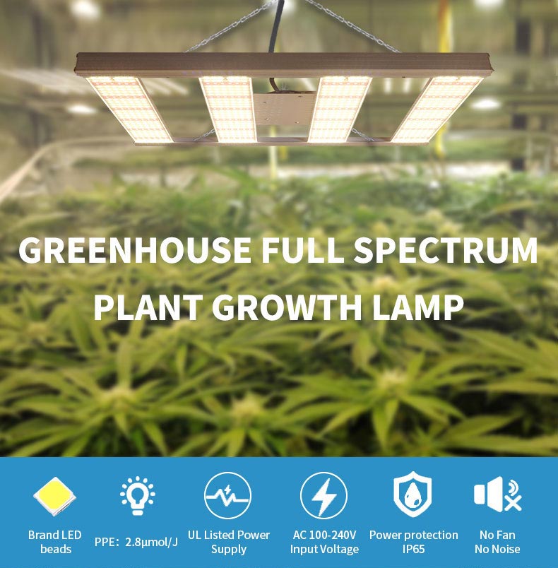 How much weed can you grow indoors on 1m²?