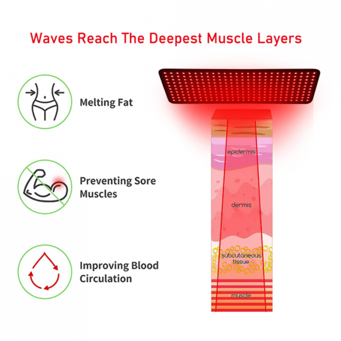 660nm 850nm red light therapy pad