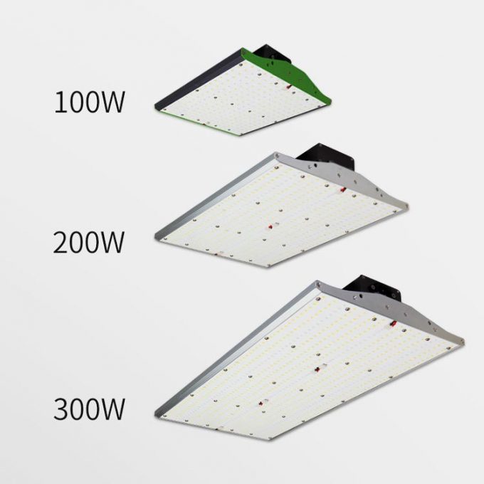 greenhouse Plants Veg bloom grow light led