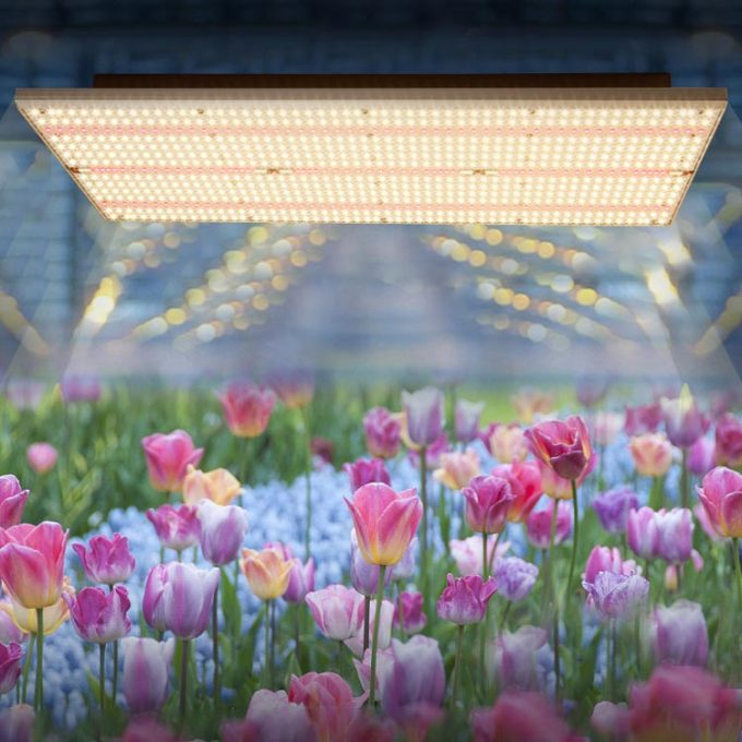 greenhouse Plants Veg bloom grow light led