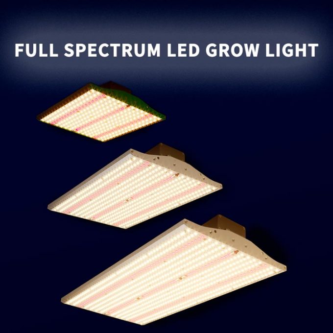 Thailand commercial full spectrum grow light