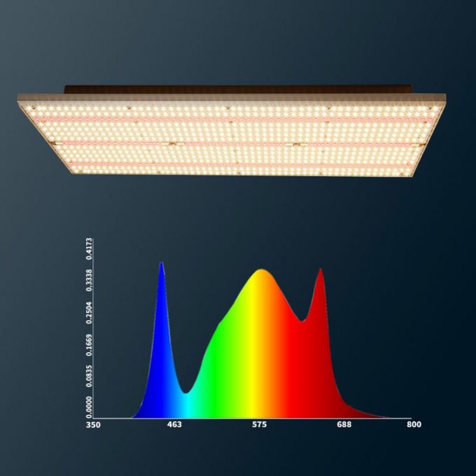Thailand commercial full spectrum grow light