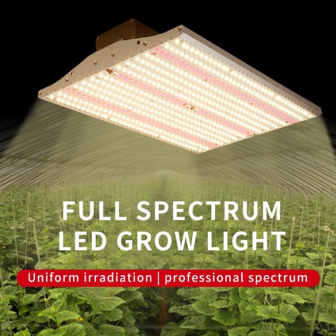 greenhouse Plants Veg bloom grow light led